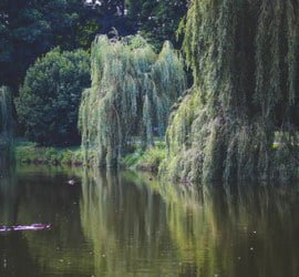 Idealne miejsce na sesję zdjęciową